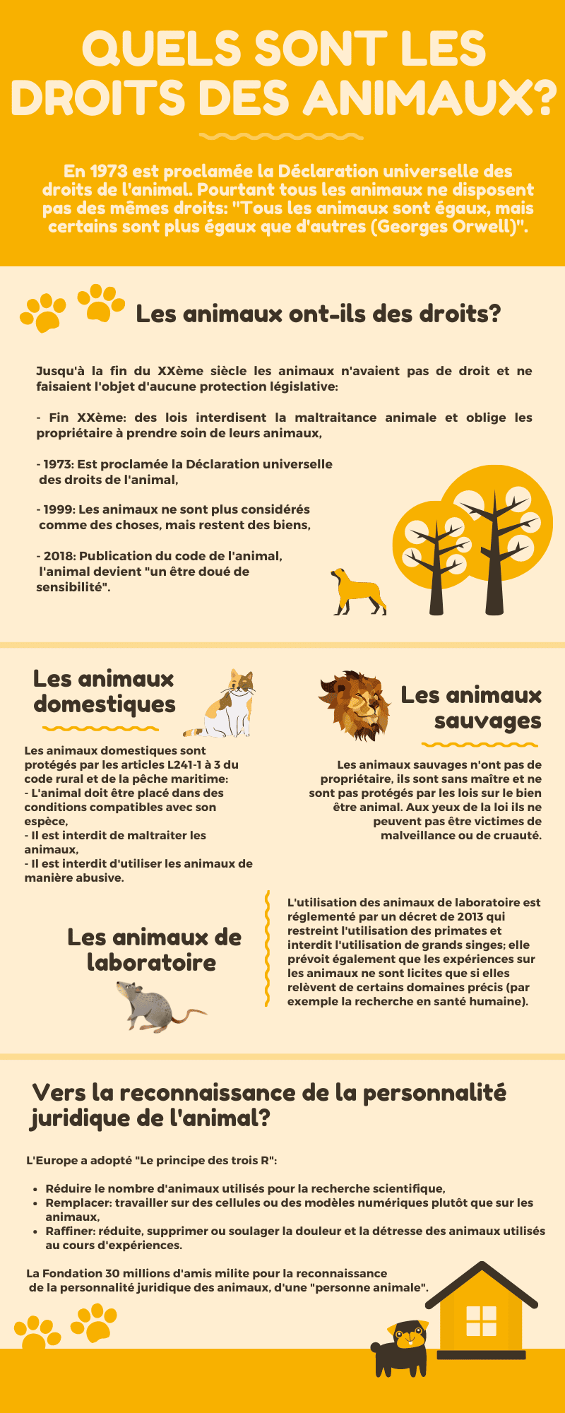 Infographie droits des animaux