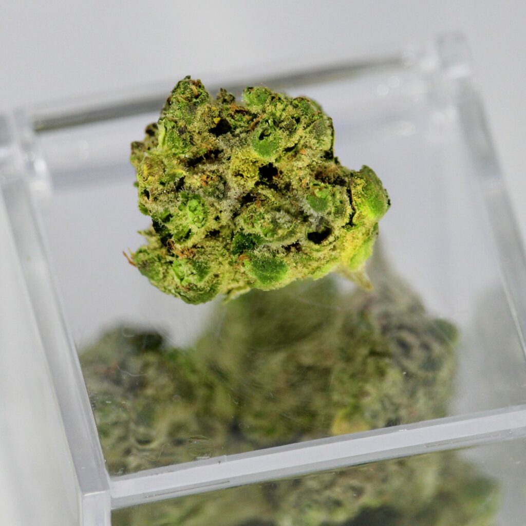 cannabis médical