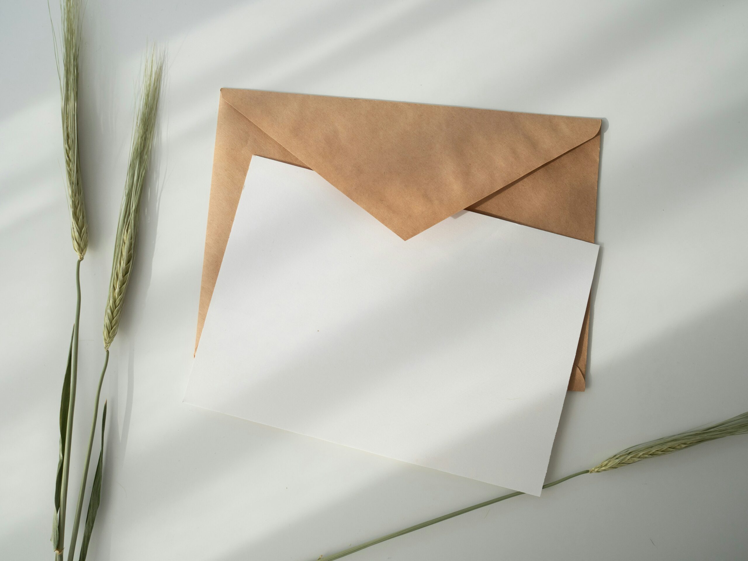 Invitation au PAP